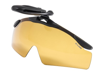 ROL-P010013Y (1)
